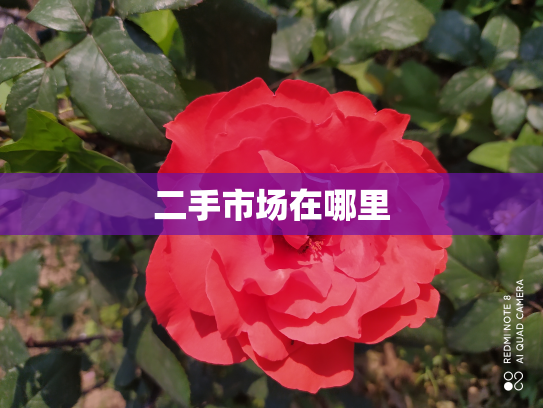二手市场在哪里