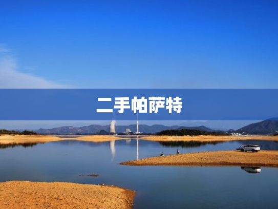 二手帕萨特