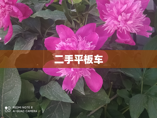 二手平板车