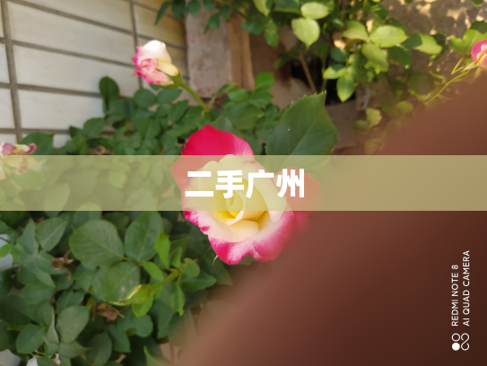 二手广州