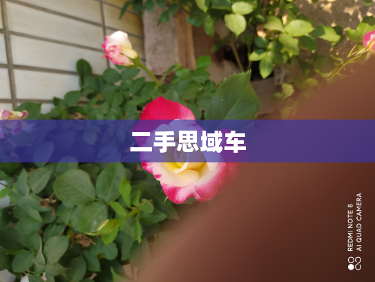 二手思域车