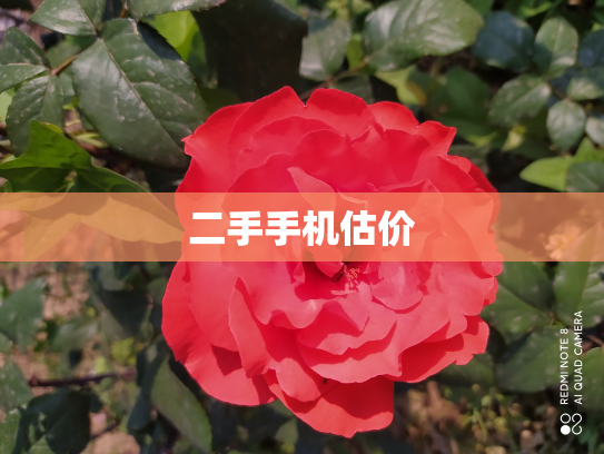 二手手机估价