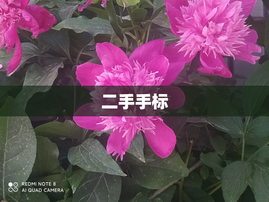 二手手标