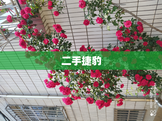二手捷豹