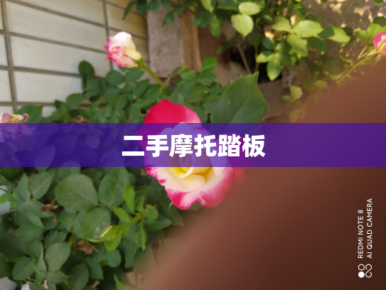 二手摩托踏板