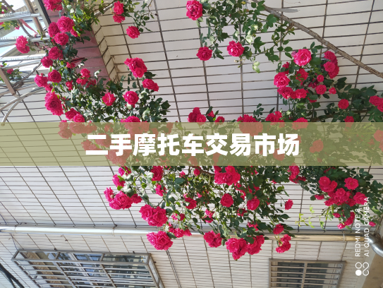 二手摩托车交易市场