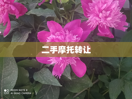 二手摩托转让