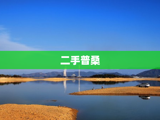 二手普桑