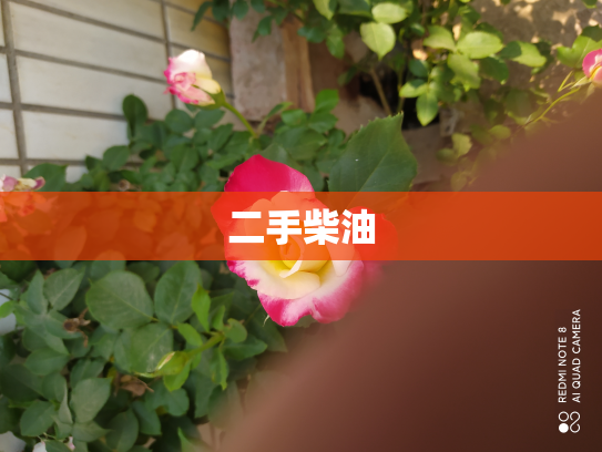 二手柴油