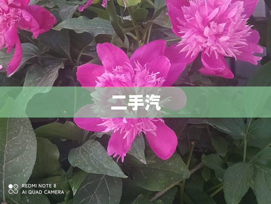 二手汽