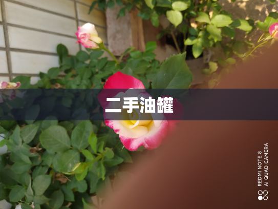 二手油罐