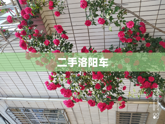 二手洛阳车