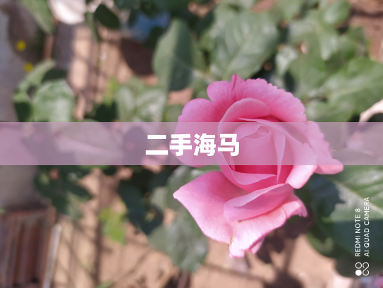 二手海马