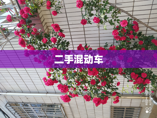 二手混动车