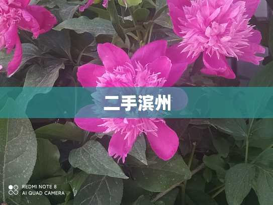 二手滨州
