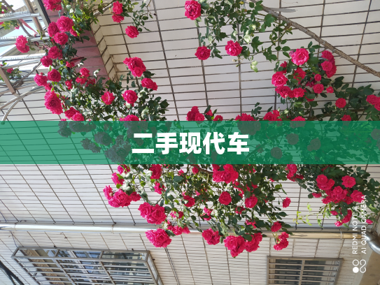 二手现代车