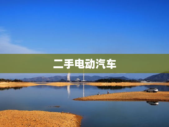 二手电动汽车