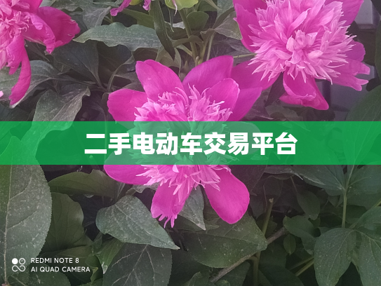 二手电动车交易平台