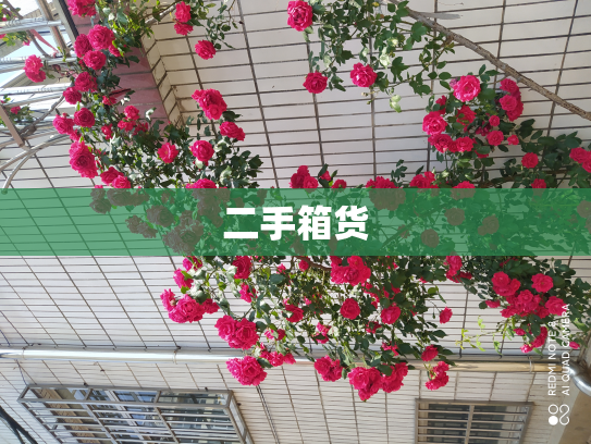 二手箱货