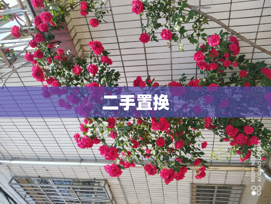 二手置换