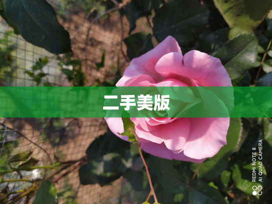 二手美版