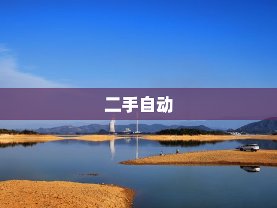 二手自动