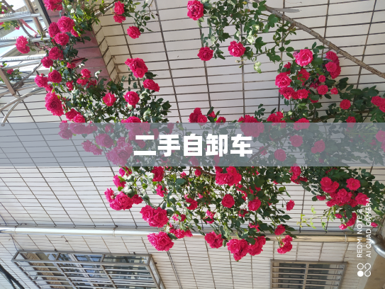二手自卸车