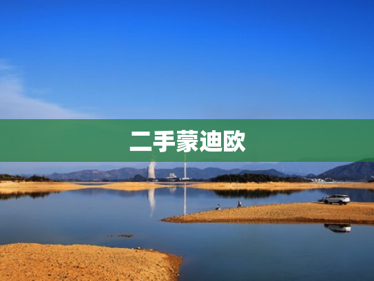 二手蒙迪欧
