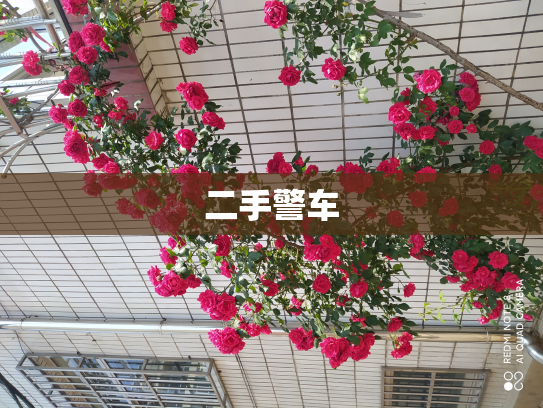 二手警车