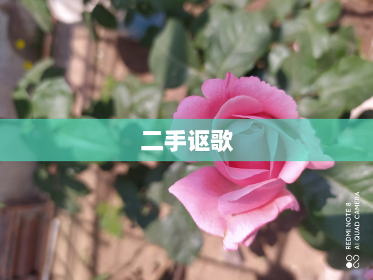 二手讴歌