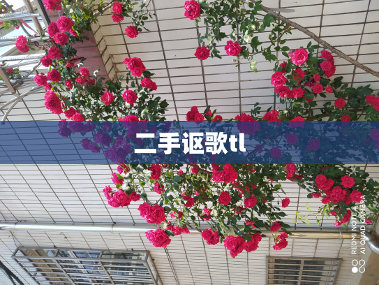 二手讴歌tl
