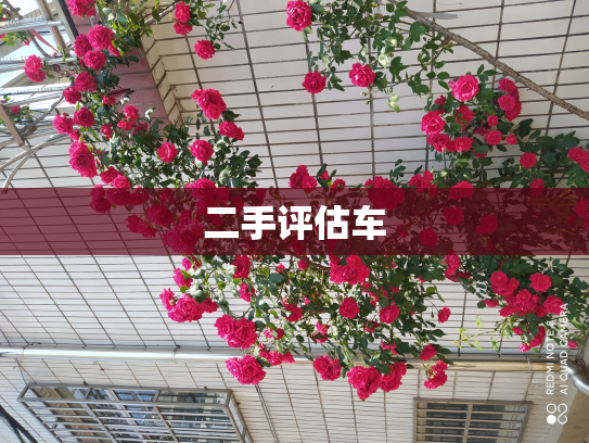 二手评估车