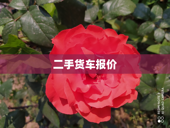 二手货车报价