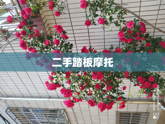 二手踏板摩托
