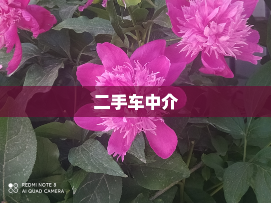 二手车中介