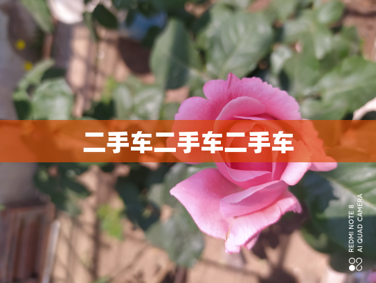 二手车二手车二手车