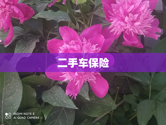二手车保险