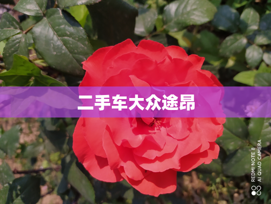 二手车大众途昂