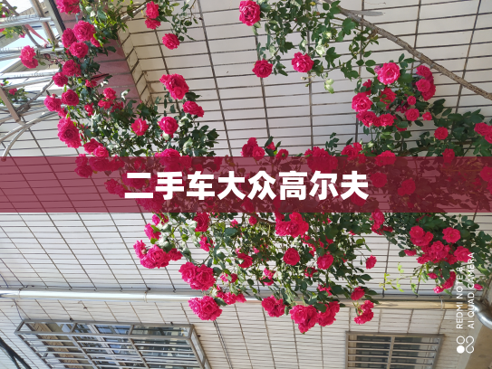 二手车大众高尔夫