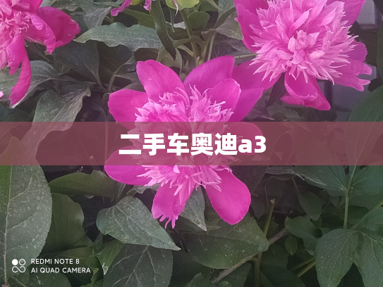 二手车奥迪a3