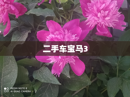 二手车宝马3