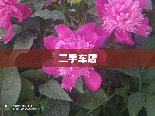 二手车店