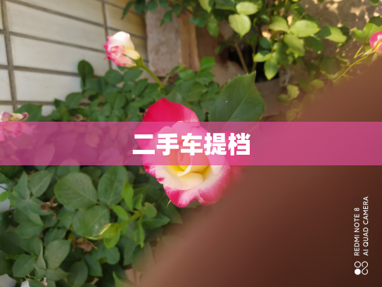 二手车提档