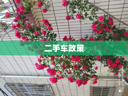 二手车政策