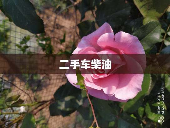 二手车柴油