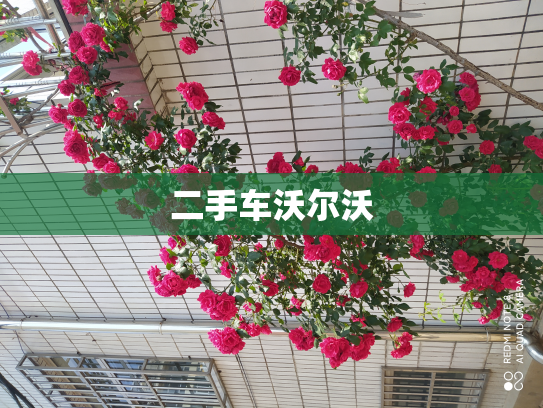 二手车沃尔沃