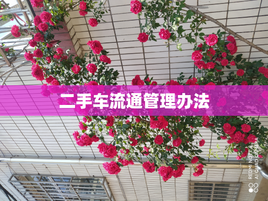 二手车流通管理办法