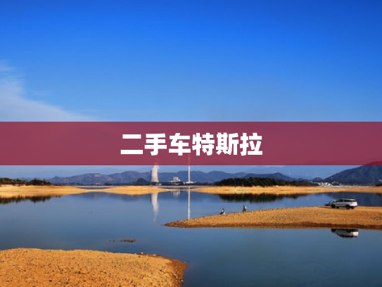 二手车特斯拉
