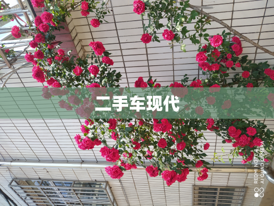 二手车现代