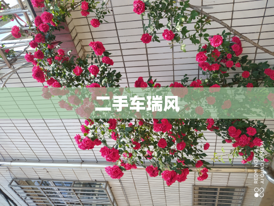 二手车瑞风